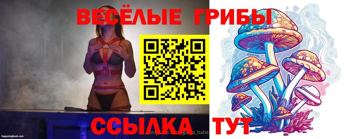 Псилоцибиновые грибы мухоморы Протвино