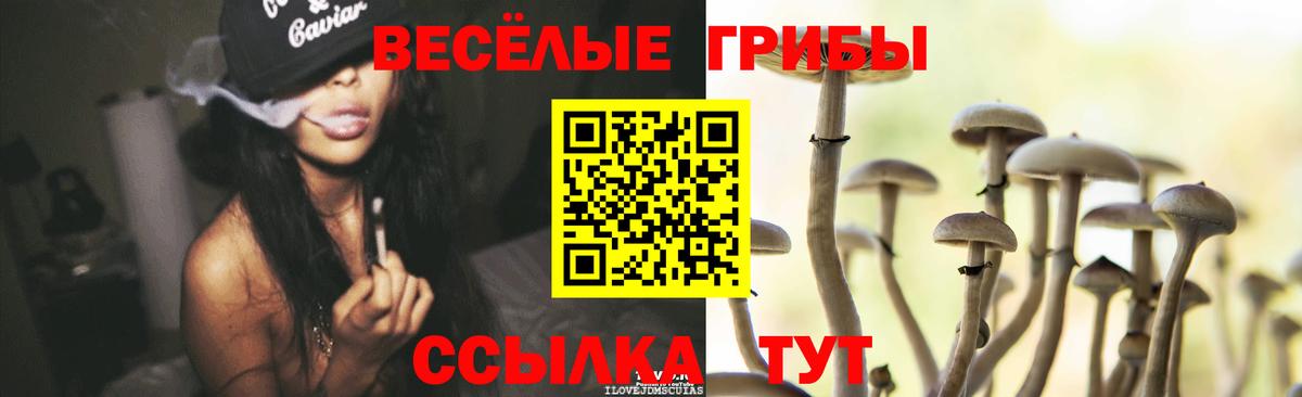 Галлюциногенные грибы ЛСД  Вход с VPN  Протвино 